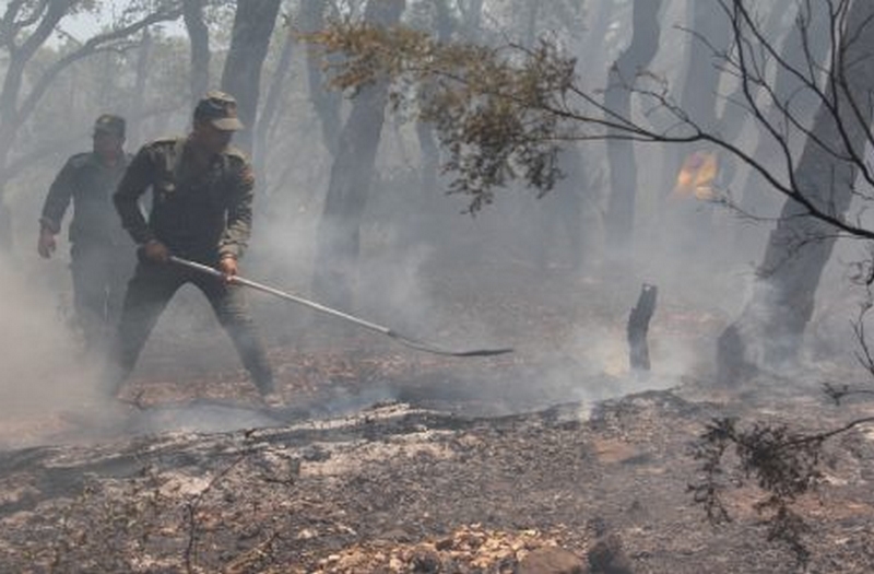سلطات تطوان تعلن السيطرة على حريق غابة بني إيدر بجماعة الخروب وتنفي سقوط أية طائرة